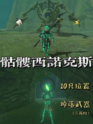 荒野之息骸骨（塞尔达 骸骨）