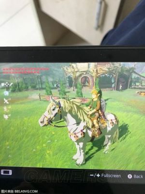 荒野之息阿加纳器具（塞尔达传说马哈阿加纳）