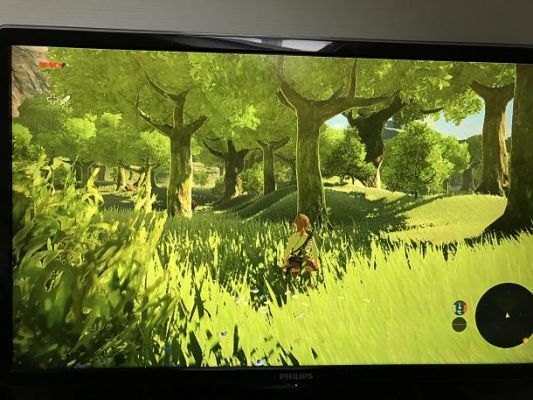 wiiu荒野之息中文版（荒野之息 wiiu）