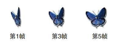 荒野之息蓝翅膀蝴蝶（荒野之息蝙蝠翅膀）-图2