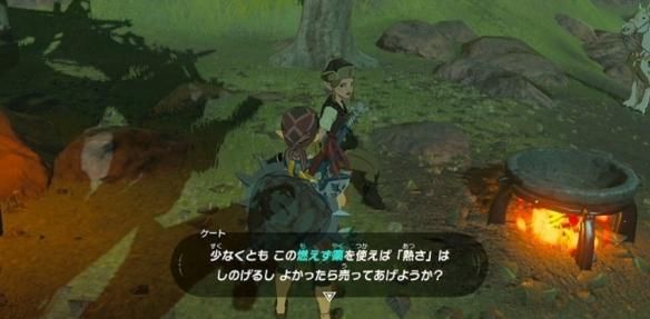 塞尔达传说荒野之息hestu在哪（塞尔达传说荒野之息防火服怎么拿）