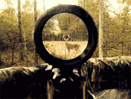 荒野的猎人瞄具（猎人荒野狩猎）-图2