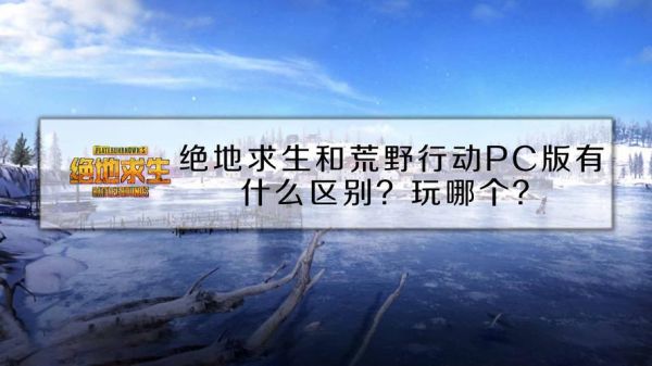 绝地求生是不是荒野行动（绝地求生是不是荒野行动游戏）