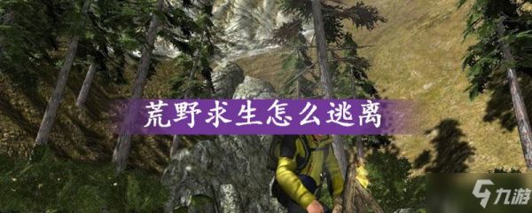 荒野求生读取存档（荒野求生怎么备份存档）
