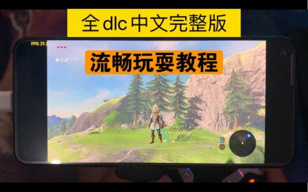 关于荒野之息模拟效果的信息