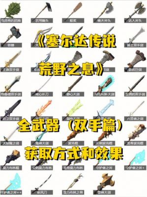 荒野之息扩大武器（荒野之息扩大武器怎么获得）