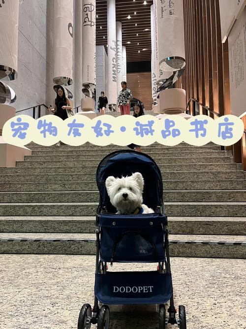 动物书店怎么玩（诚品书店怎么玩）