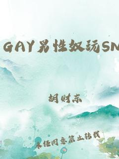 可以怎么玩奴的简单介绍