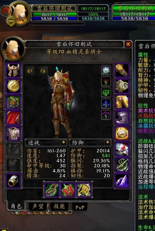 2.43防骑怎么玩（tbc 243防骑）