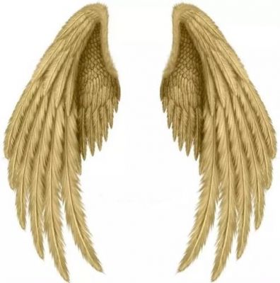 天使最多有多少羽翼（天使最多几个翅膀）