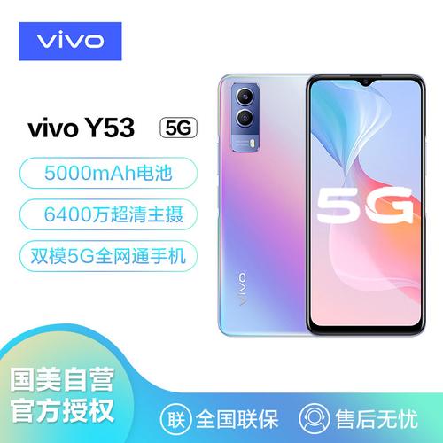 viovy53多少钱（手机vivoy53s多少钱）