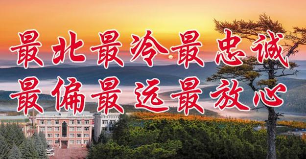 大寂静多少体（寂静大森林打一个数字）-图2