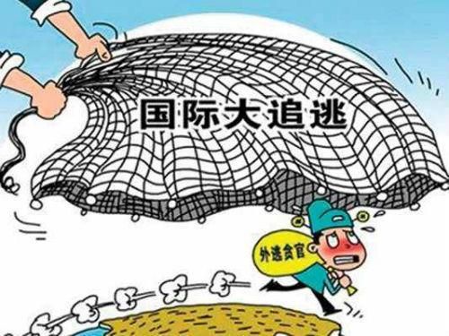 天网陷阱要多少（天网吸金陷阱）