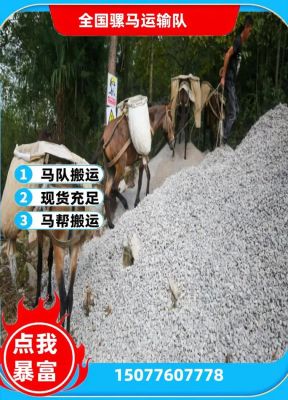 1000马匹等于多少公里(1000马匹等于多少公里路)-图3 1000马匹等于多少公里(1000马匹等于多少公里路)-图3