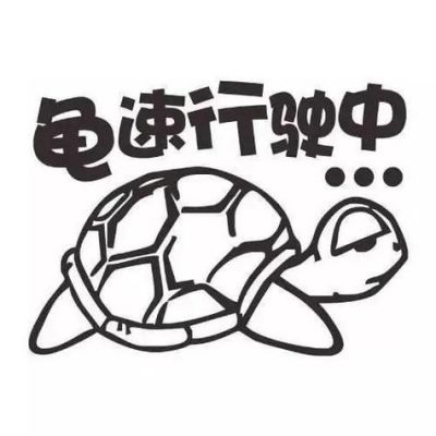 龟速是多少(龟速多少速度达标)-图2 龟速是多少(龟速多少速度达标)-图2