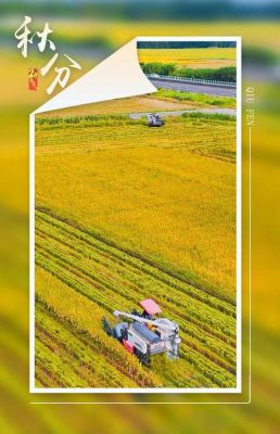 春华多少cd(春华多钱一位)-图3 春华多少cd(春华多钱一位)-图3