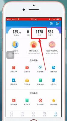 怎样查看手机积分多少(怎么查看手机积分查询)-图2 怎样查看手机积分多少(怎么查看手机积分查询)-图2