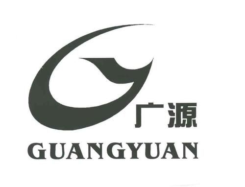 广源小贷能贷多少（广源金融）