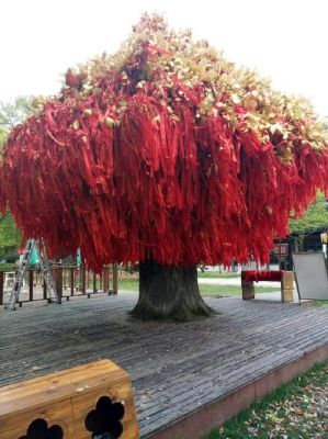 许愿树多少级(许愿树能开出什么)-图1 许愿树多少级(许愿树能开出什么)-图1